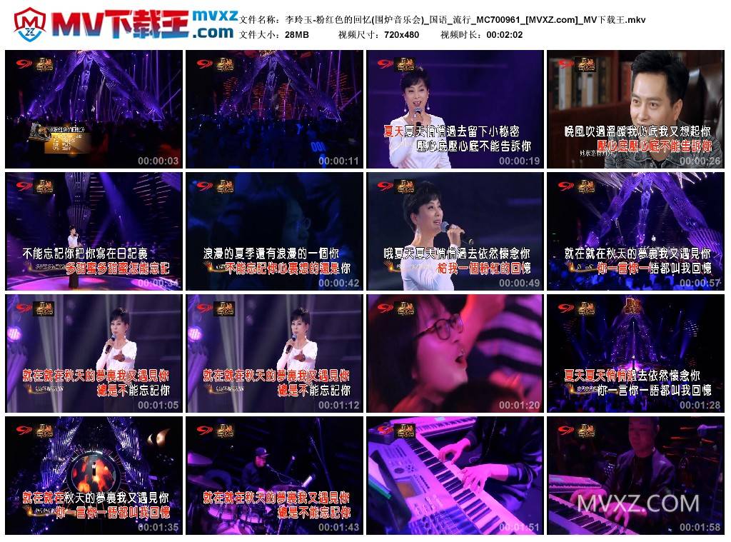 李玲玉-粉红色的回忆(围炉音乐会)_国语_流行_MC700961